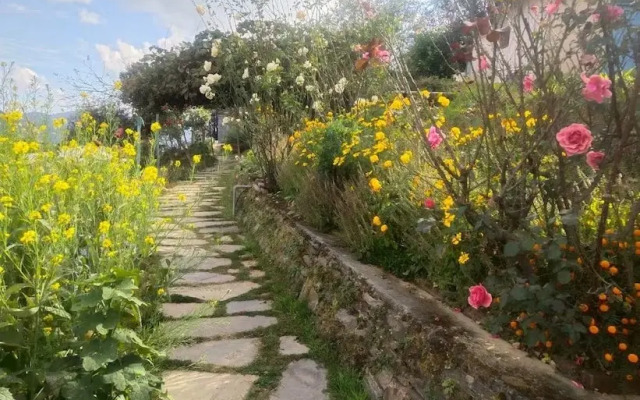 Trishul Orchard Resort