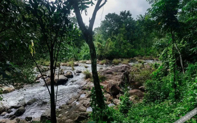 Misty River