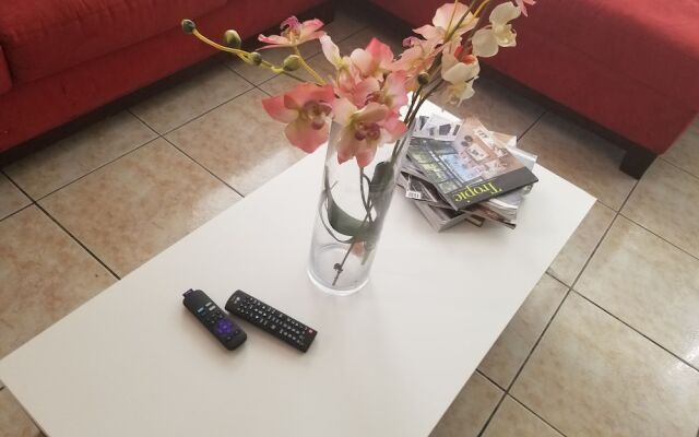 Walk in the heart of Wynwood