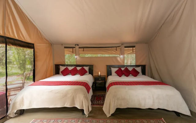 Hammerkop Migration Camp