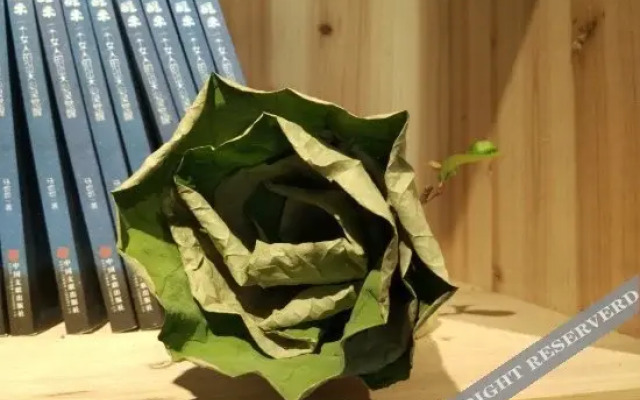 Songyang Yunshang Pingtian Boutique B&B