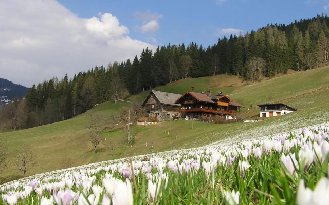 Bio-Bauernhof Nichlgut
