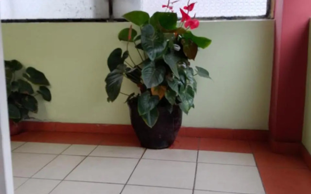 Amazonia Y Sol Hostel