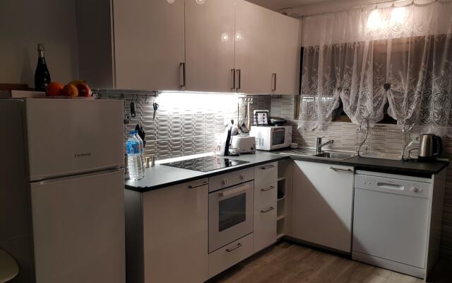 Luxury 2 bedroom APT 50 m from beach