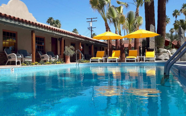 Dive Palm Springs