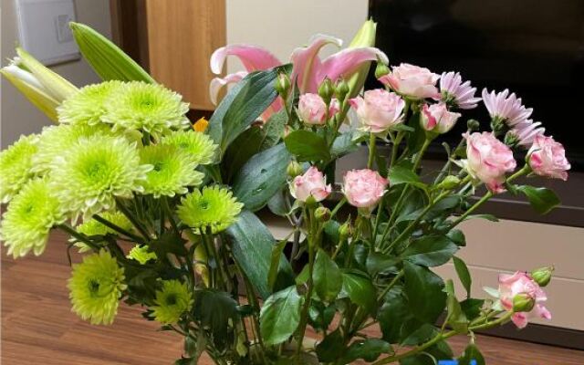 The yard under the mountain