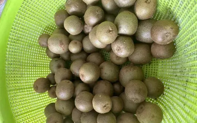 Anji Tianmu Yunju Light Luxury Mountain Villa