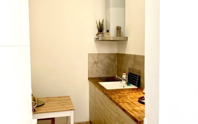 Apartment Opletalova 10