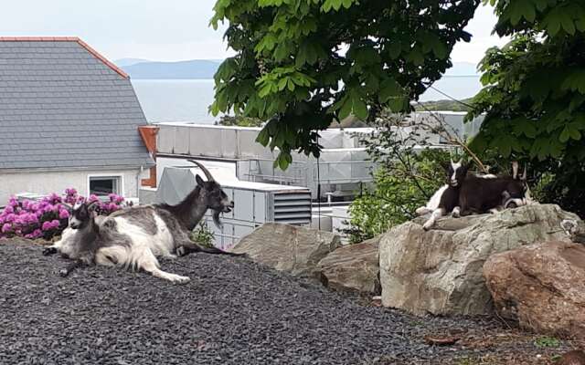 Mulranny Suites