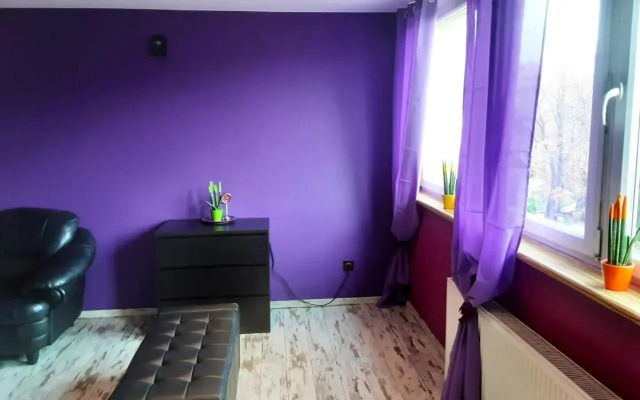 Nastrojowe Mieszkanie Plac Krakowski Gliwice 60m2