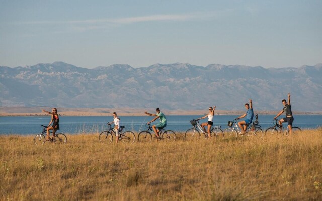 Nice Home in Privlaka With Wifi and 2 Bedrooms