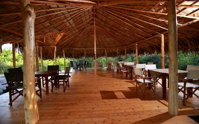 Yala safari and Relax camping