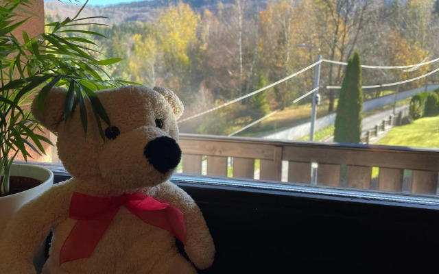 Sasanka Szczyrk przy Gondoli