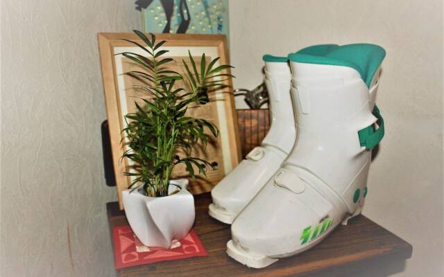 Pension Eastmountain Hakuba