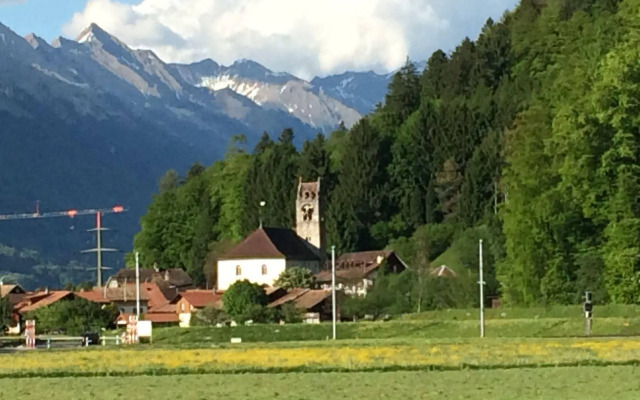 Historic Hotel Steinbock