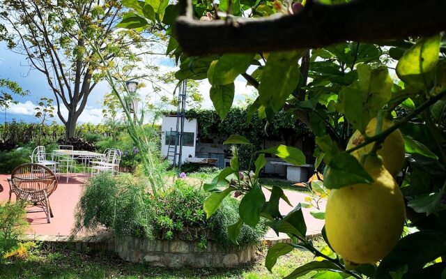 Casa Vacanze Fattoria Pozzitello
