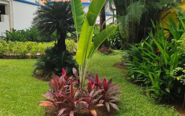 ARY Royal Palms - 1 BHK