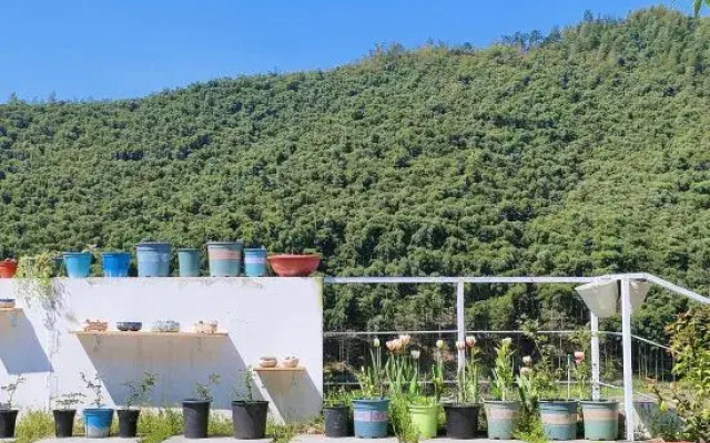 Moganshan Naicang Boutique Hotel