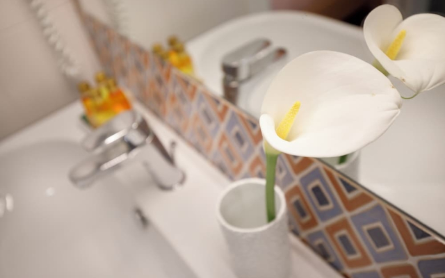 Saint George's House Apartments & SPA