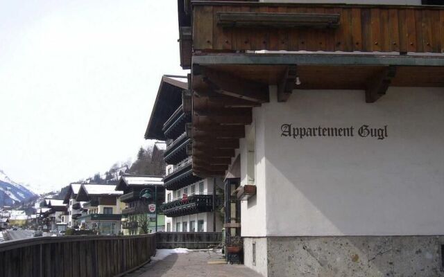 Haus Gugl by Skinetworks