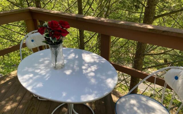 Saw Creek Cabin - Regent Hilltop