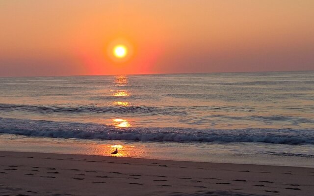 Americana Condos 10th street