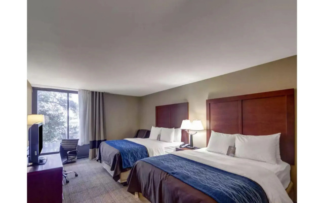 Comfort Inn and Suites Plano East