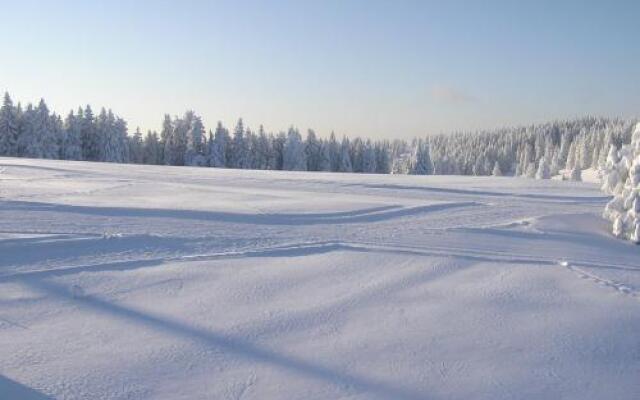Apartments Rogla