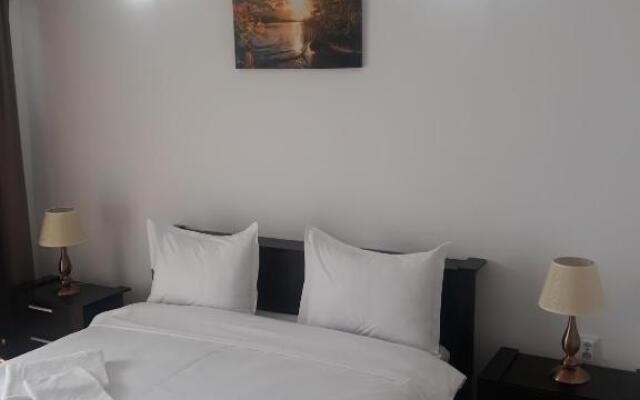 pensiunea delta ideal