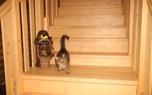 Гостевой дом «Толстый кот»