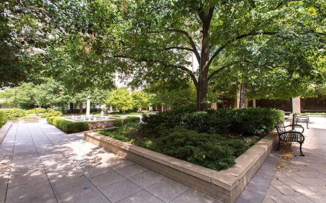 Comfortable Apt in Crystal City