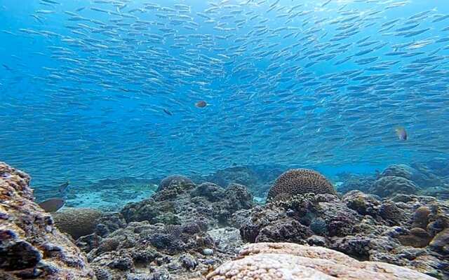 Pescadores Suites Moalboal