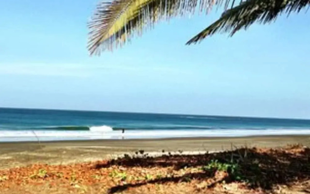 Villas VR Beachwalk Avellanas