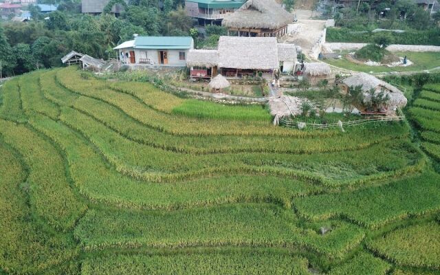 Golden Rice Garden Sapa