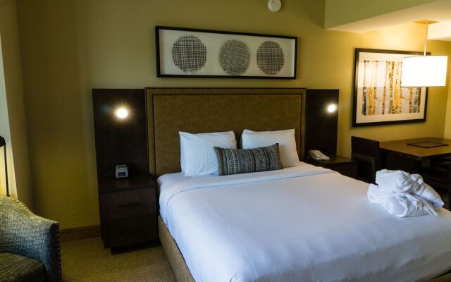 Updated Studio w Full Kitchen Spacious Living Room by RedAwning