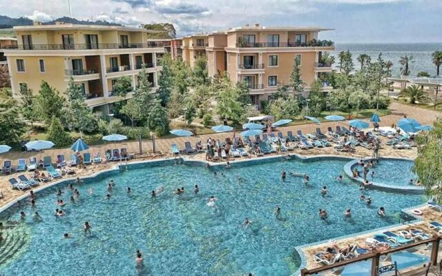 Dreamland Oasis of happiness