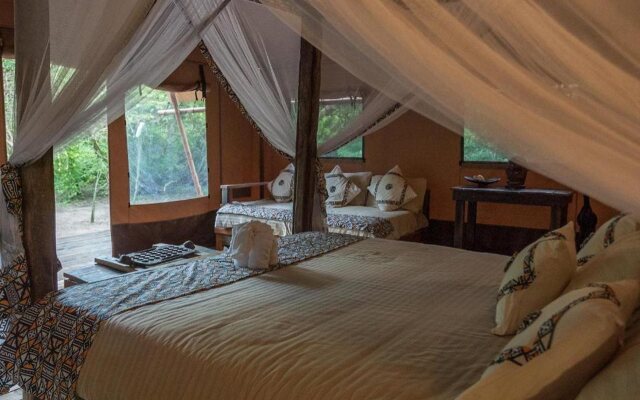 Africa Safari Selous