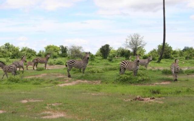 Ruaha Hilltop Lodge