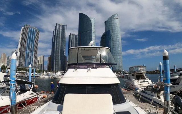 Yacht King
