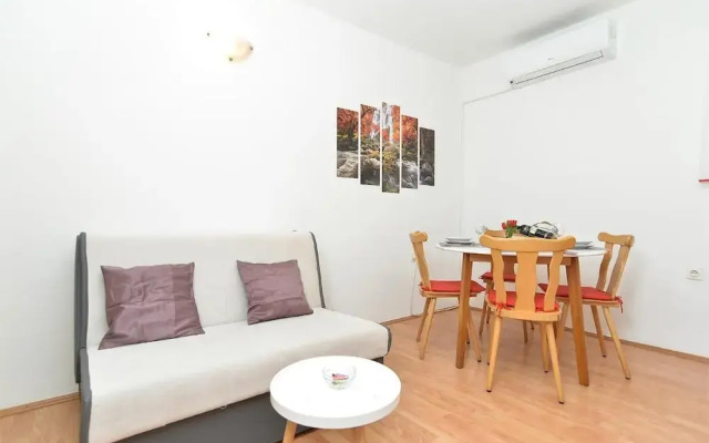 Spacious Apartment With Garden