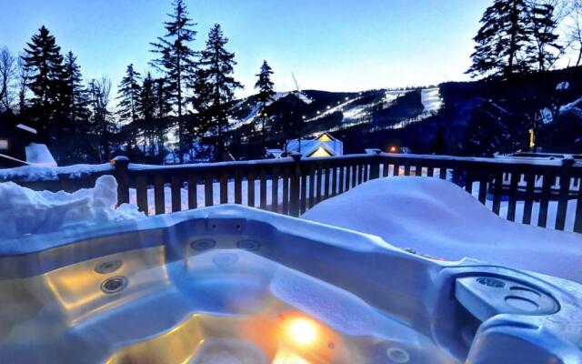 Chalets Alpins - 10 Chemin Blanc