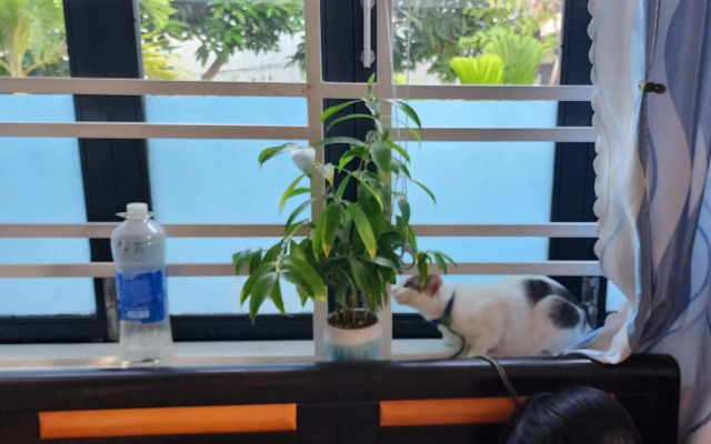 Sena home 3rd-Overlooking Danang Dragon bridge-Han river