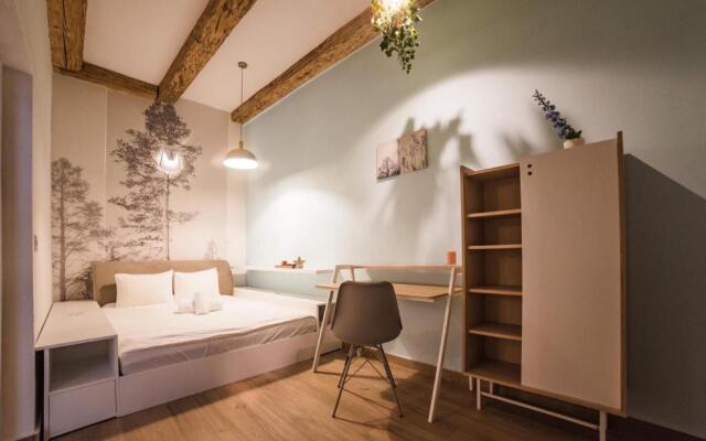 Casa Verde Brasov Flat 1