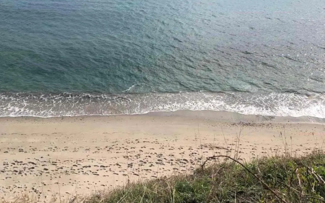 Art studio Marina Cape