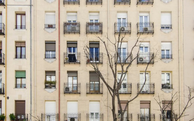 Minty Stay - Jose Ortega y Gasset