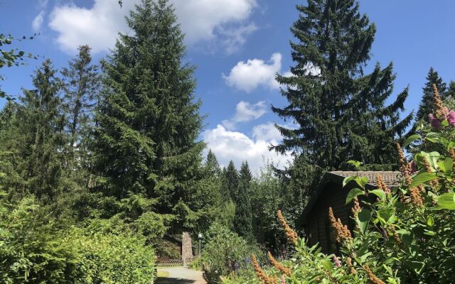 Wooden chalet with oven, in Oberharz near a lake