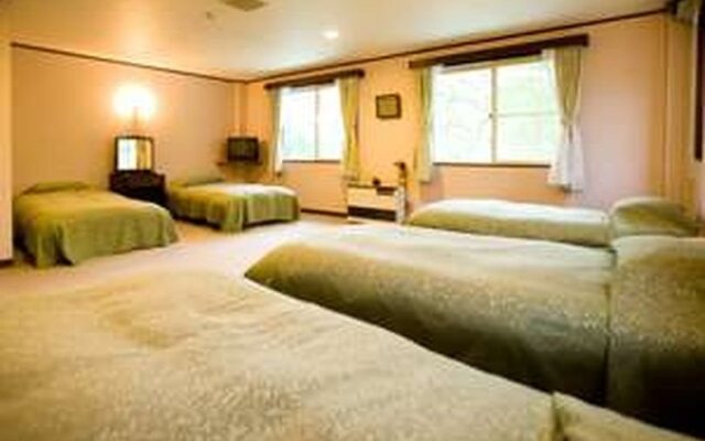 Pension Alpine