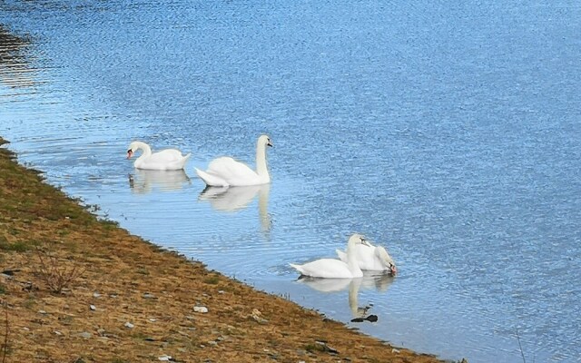 Ferienhof Schmickerath