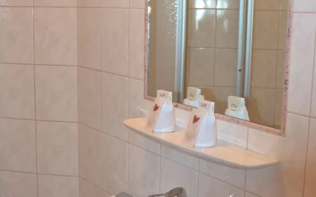 Pension - B&B Elisabeth Radstadt