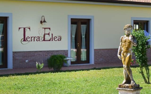 Agriturismo Terra di Elea